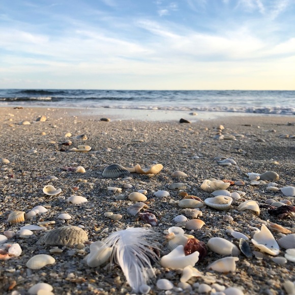 UNLISTED EVEN for SpaBloomFlows LIVE Shows Wednesdays &/or Saturdays 🌼 - Picture 4 of 4